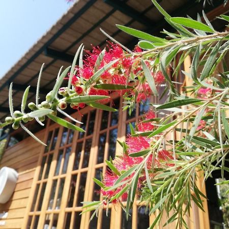 Paiyannoi Guesthome Chiang Mai Exteriör bild