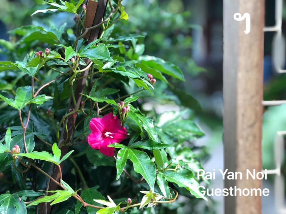 Paiyannoi Guesthome Chiang Mai Exteriör bild