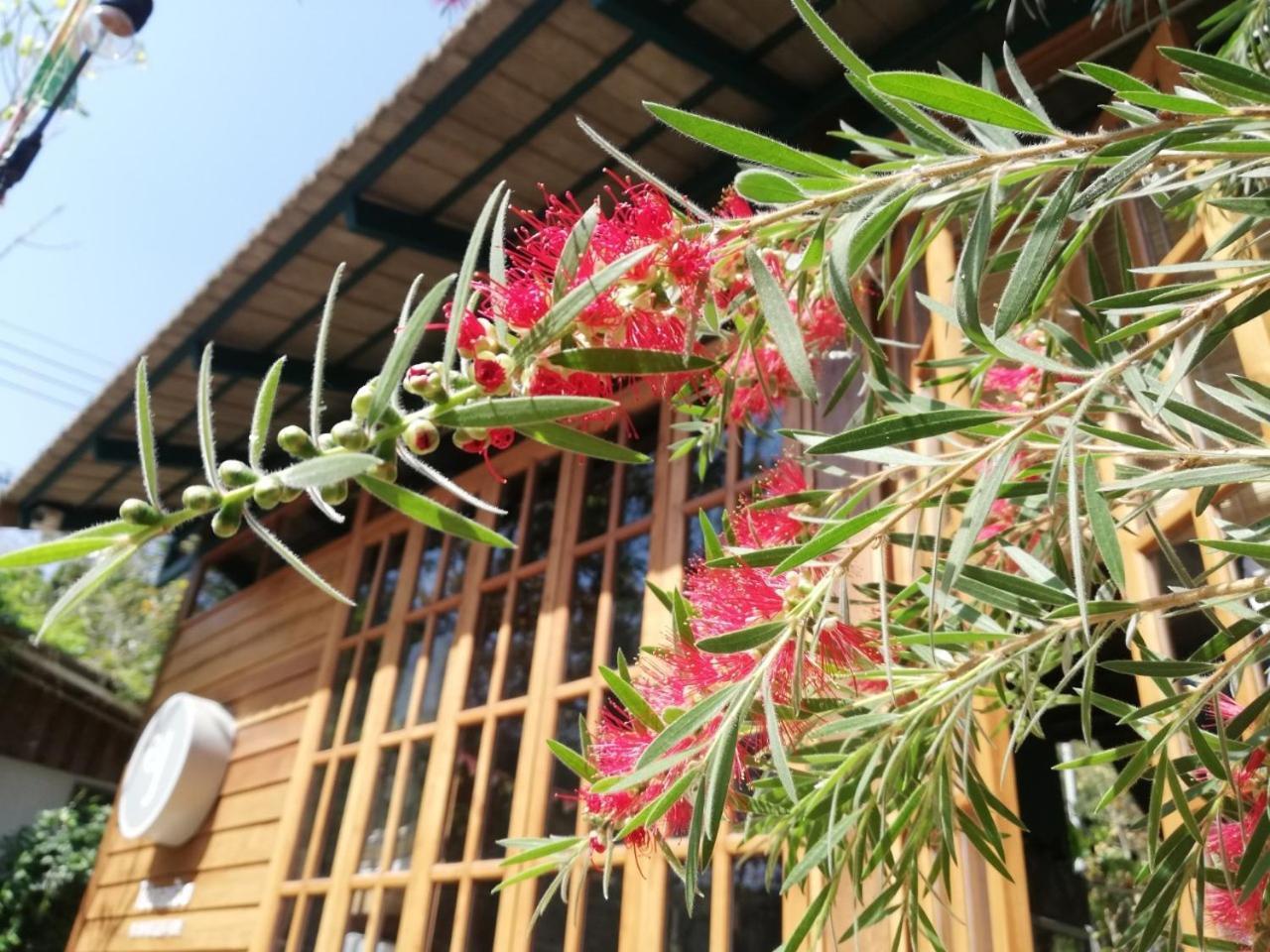 Paiyannoi Guesthome Chiang Mai Exteriör bild